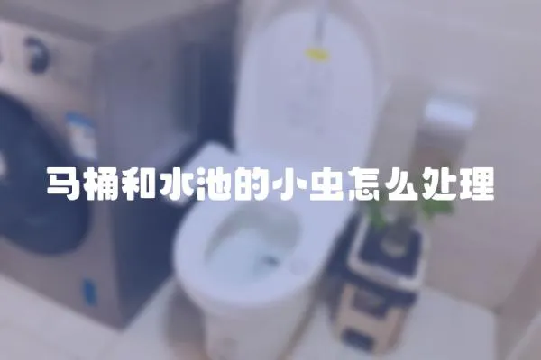 马桶和水池的小虫怎么处理