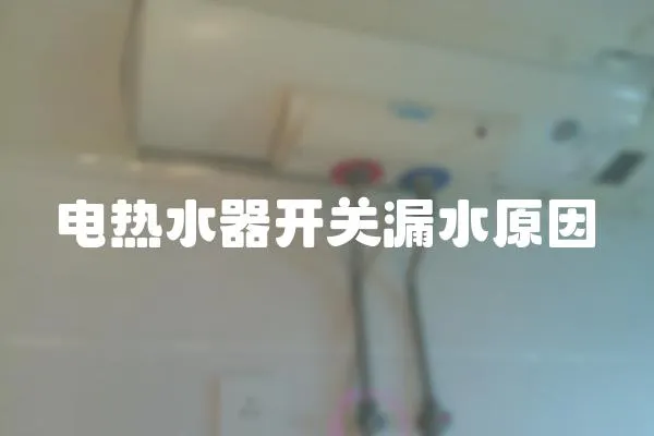電熱水器開關漏水原因