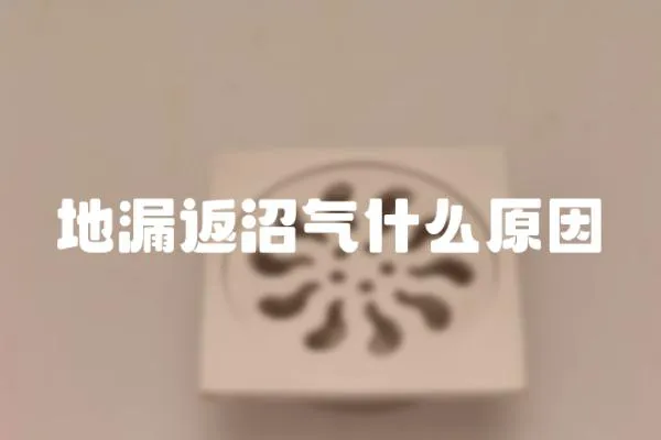 地漏返沼氣什么原因