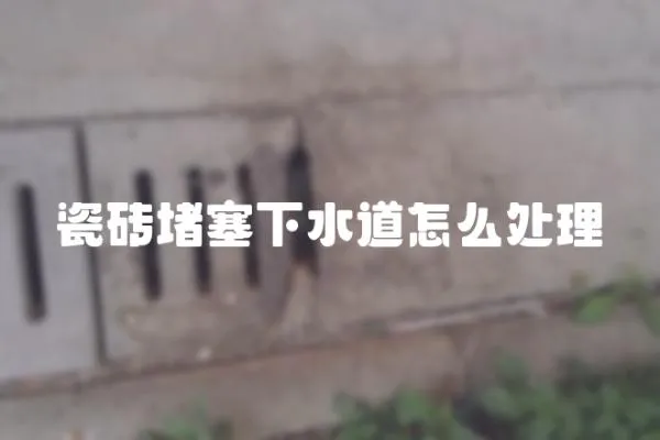 瓷磚堵塞下水道怎么處理