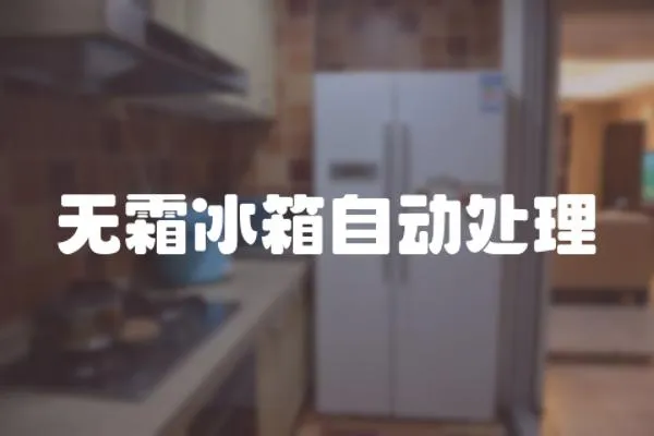 無霜冰箱自動處理