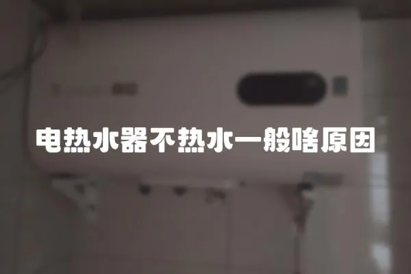 電熱水器不熱水一般啥原因