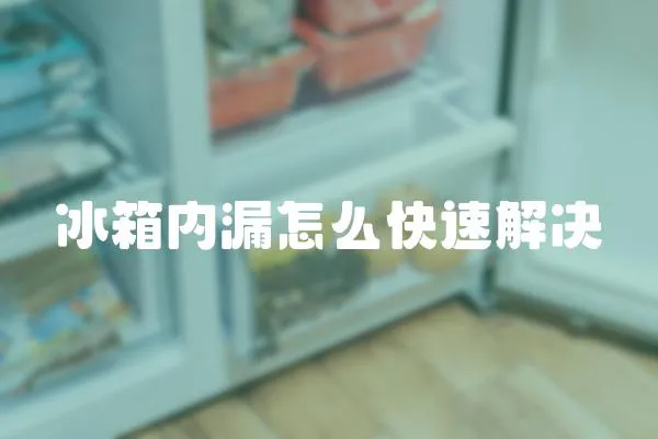 冰箱內(nèi)漏怎么快速解決