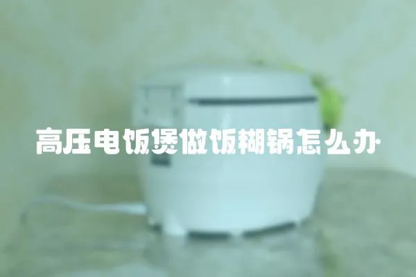 高壓電飯煲做飯糊鍋怎么辦