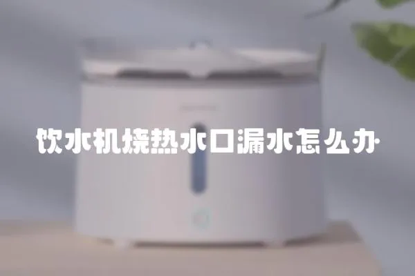 飲水機燒熱水口漏水怎么辦