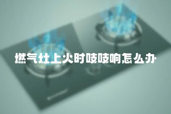 燃氣灶上火時吱吱響怎么辦