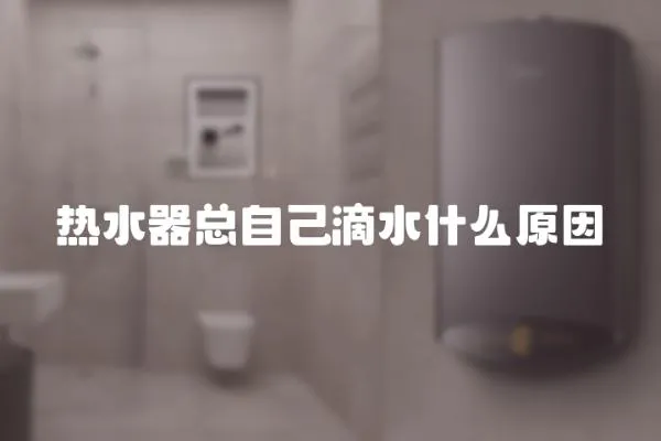 熱水器總自己滴水什么原因