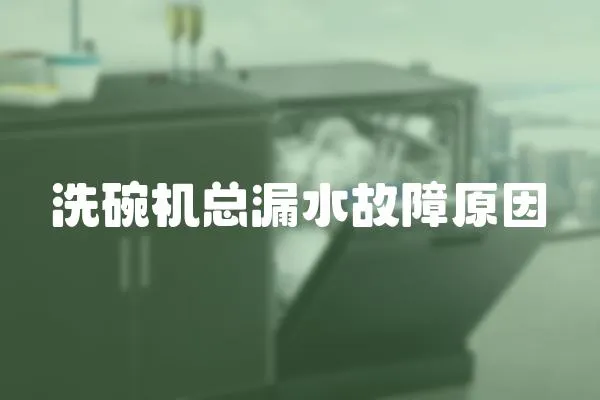 洗碗機(jī)總漏水故障原因