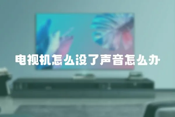 電視機(jī)怎么沒了聲音怎么辦