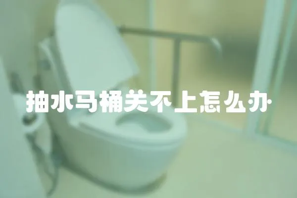 抽水馬桶關不上怎么辦