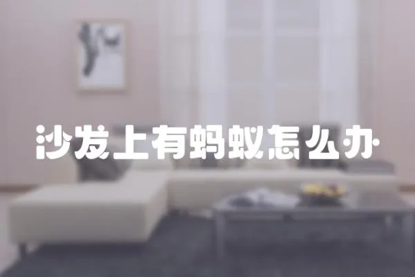 沙發上有螞蟻怎么辦