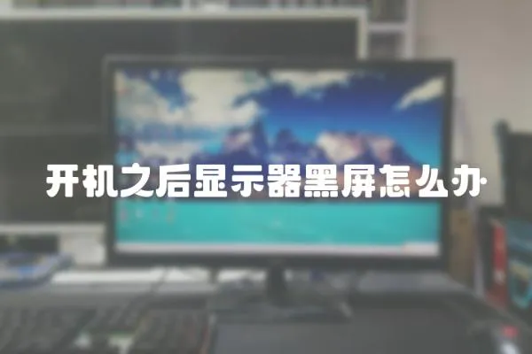 開機之后顯示器黑屏怎么辦