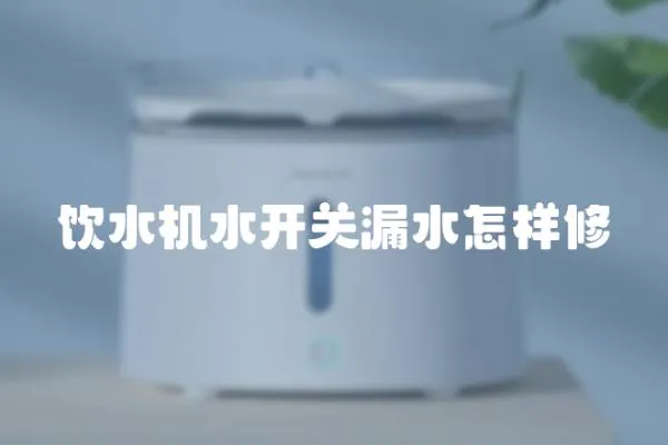 飲水機(jī)水開(kāi)關(guān)漏水怎樣修