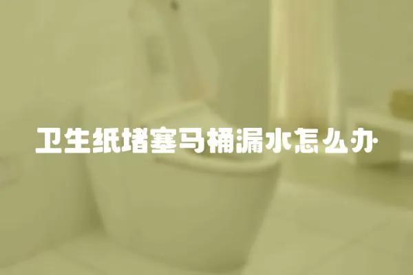 衛生紙堵塞馬桶漏水怎么辦