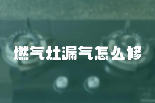 燃?xì)庠盥庠趺葱? loading=