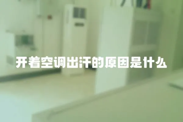 開著空調(diào)出汗的原因是什么