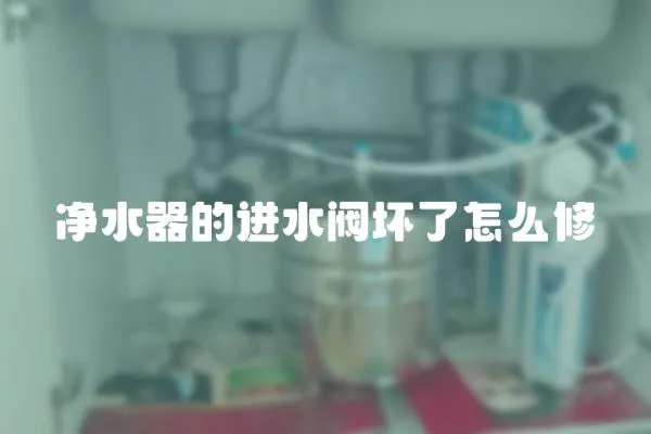 凈水器的進水閥壞了怎么修