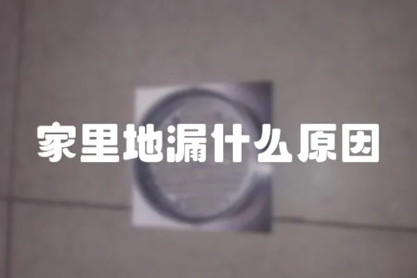 家里地漏什么原因