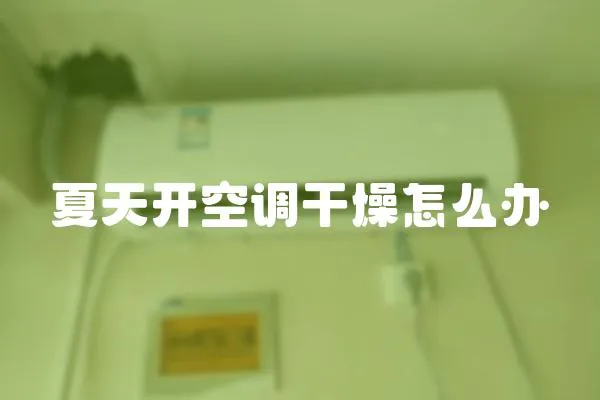夏天開(kāi)空調(diào)干燥怎么辦