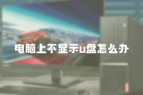 電腦上不顯示u盤怎么辦