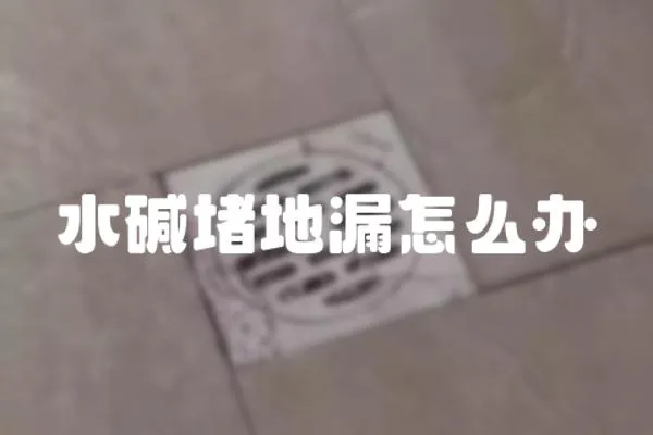 水堿堵地漏怎么辦