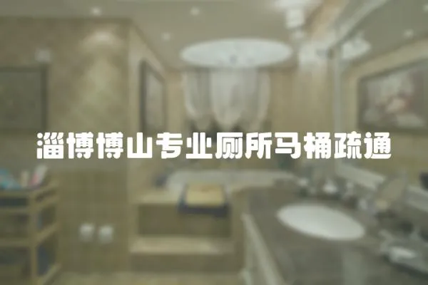 淄博博山專業廁所馬桶疏通