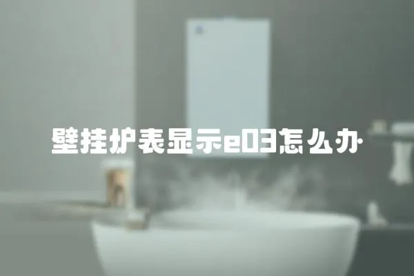 壁掛爐表顯示e03怎么辦
