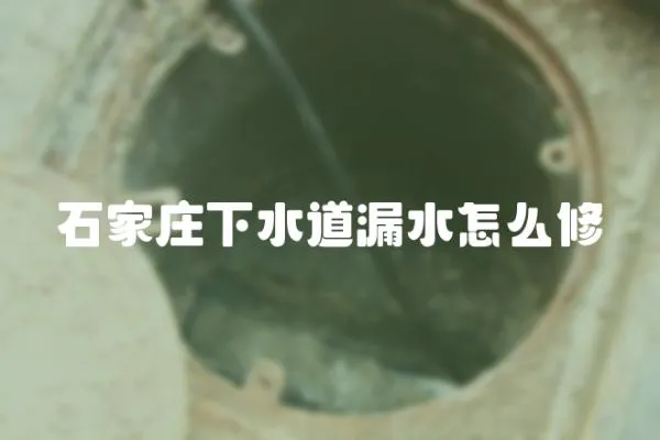 石家莊下水道漏水怎么修