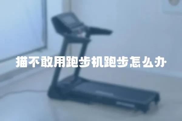 貓不敢用跑步機跑步怎么辦