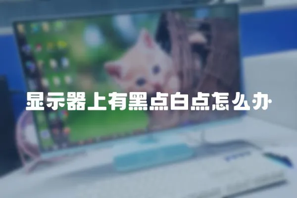 顯示器上有黑點白點怎么辦
