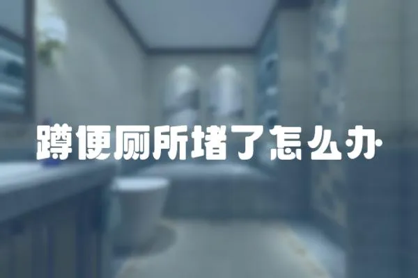 蹲便廁所堵了怎么辦