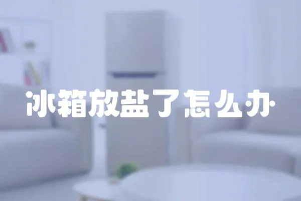 冰箱放鹽了怎么辦