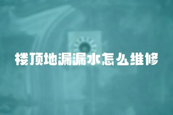 樓頂?shù)芈┞┧趺淳S修