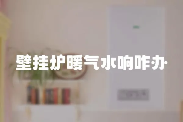 壁掛爐暖氣水響咋辦