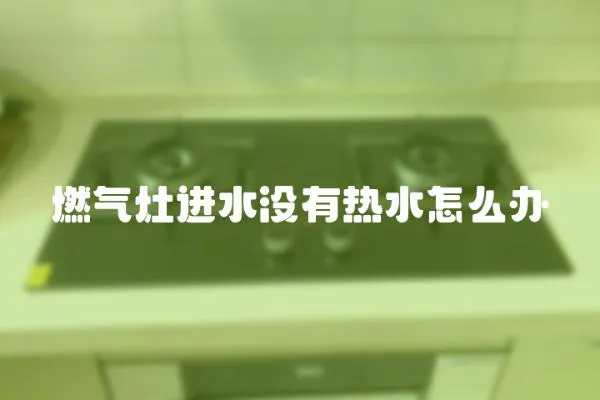 燃?xì)庠钸M(jìn)水沒有熱水怎么辦