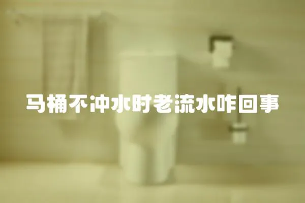 馬桶不沖水時老流水咋回事