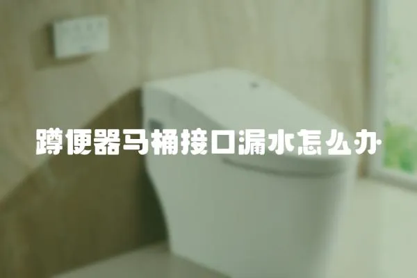 蹲便器馬桶接口漏水怎么辦
