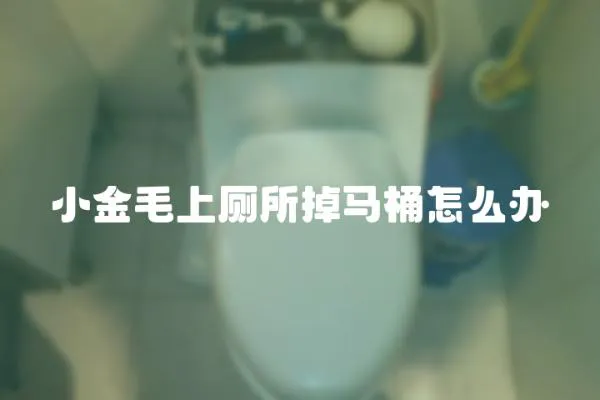 小金毛上廁所掉馬桶怎么辦