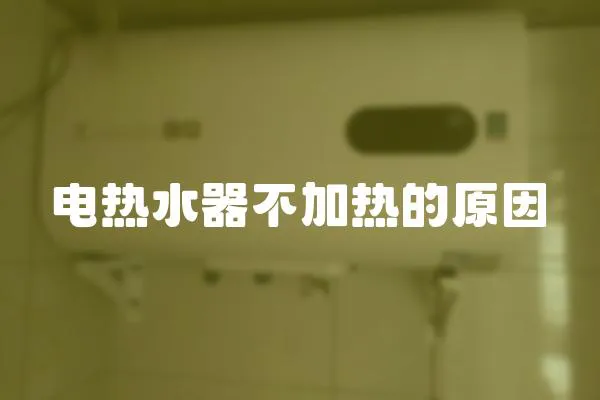 電熱水器不加熱的原因