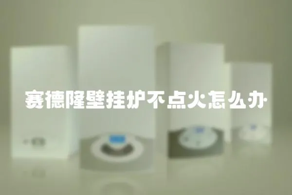 賽德隆壁掛爐不點火怎么辦