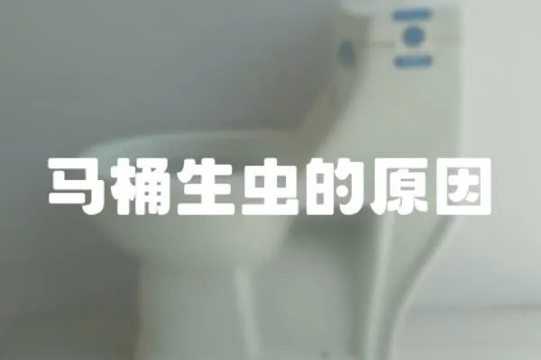 馬桶生蟲的原因