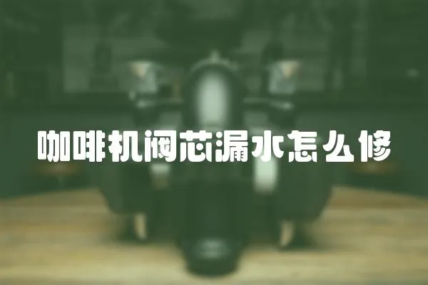 咖啡機閥芯漏水怎么修