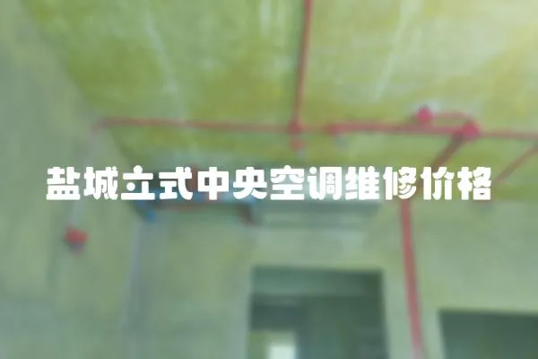 鹽城立式中央空調維修價格