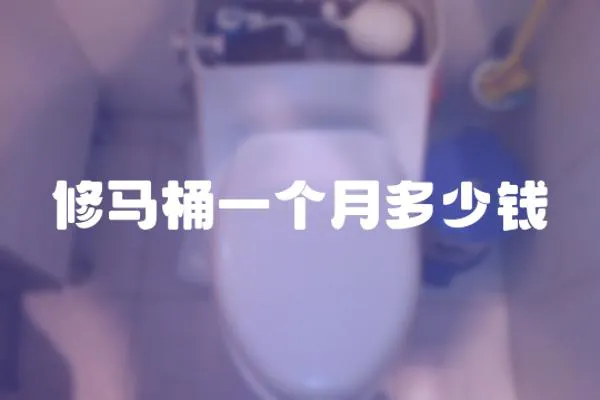 修馬桶一個月多少錢