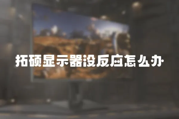 拓碩顯示器沒反應(yīng)怎么辦