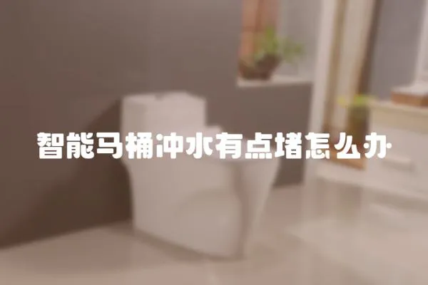 智能馬桶沖水有點堵怎么辦