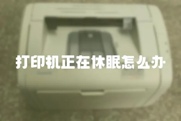 打印機正在休眠怎么辦