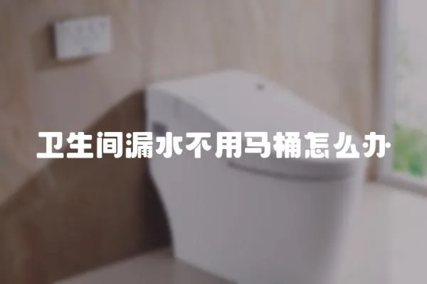 衛生間漏水不用馬桶怎么辦