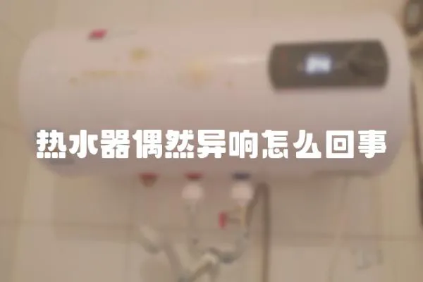 熱水器偶然異響怎么回事