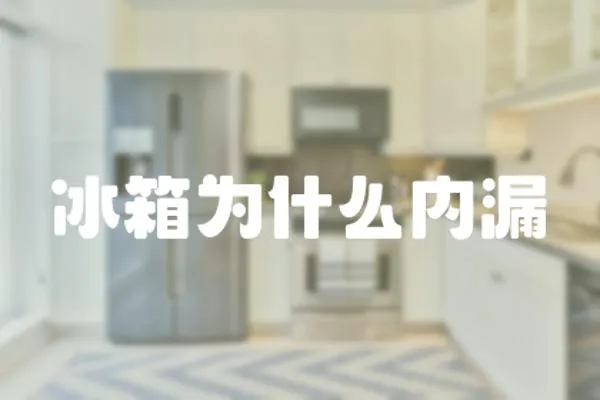 冰箱為什么內漏